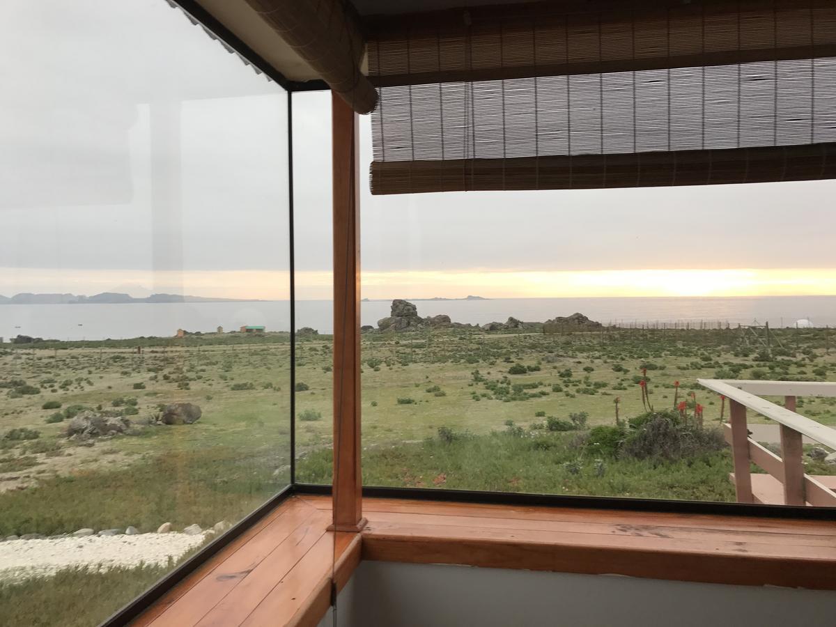 Las Hualas Punta de Choros Exteriör bild