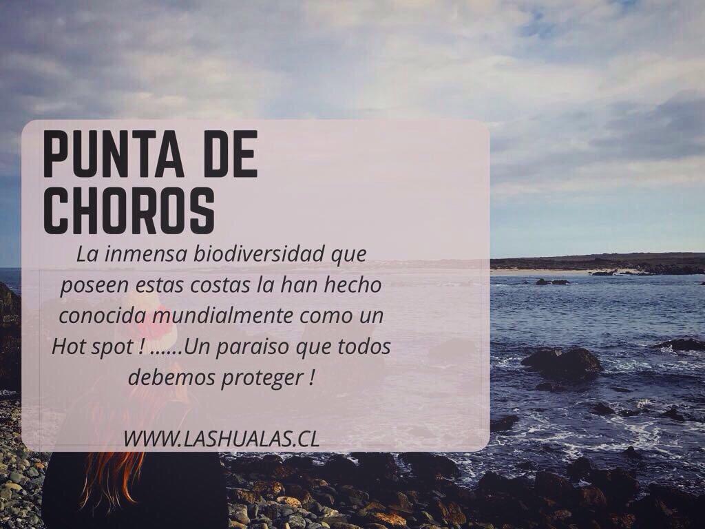 Las Hualas Punta de Choros Exteriör bild